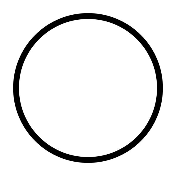 Junta torica E139235 para la tapa de bombas SILEN2 200, 300, SILENPLUS 2M